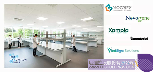 1635595478494500.jpg 3c.jpg