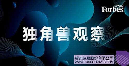 1710381269352276.jpg 640c.jpg