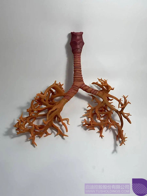 1718939717236420.jpg 微信圖片_20240621103010c.jpg